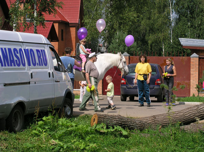 Скворечник